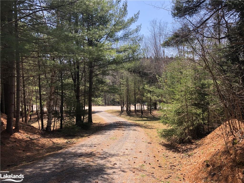 1492 FOREST LAKE Road, Sundridge, Ontario, Canada
