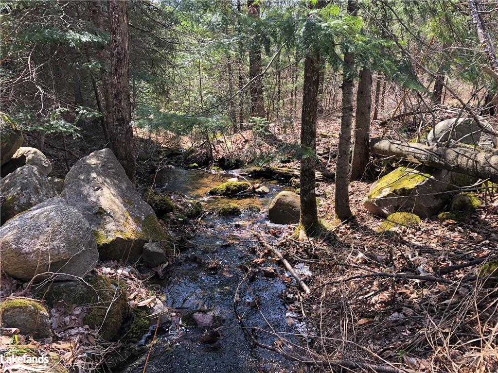 1492 FOREST LAKE Road, Sundridge, Ontario, Canada