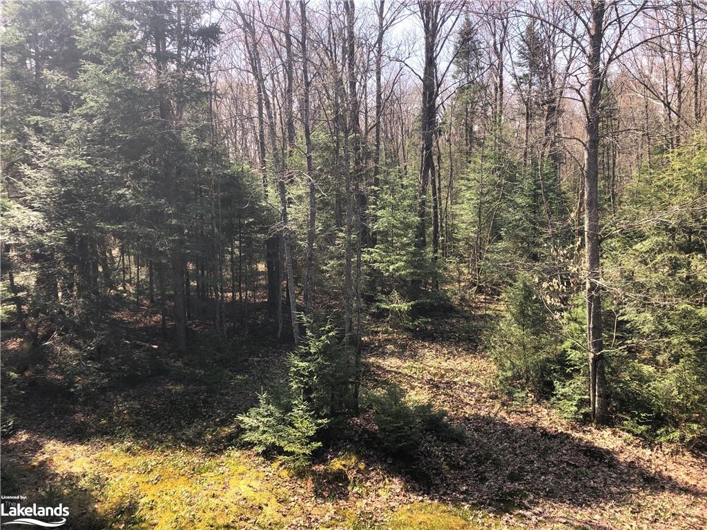 927 KING LAKE Road, South River, Ontario, Canada