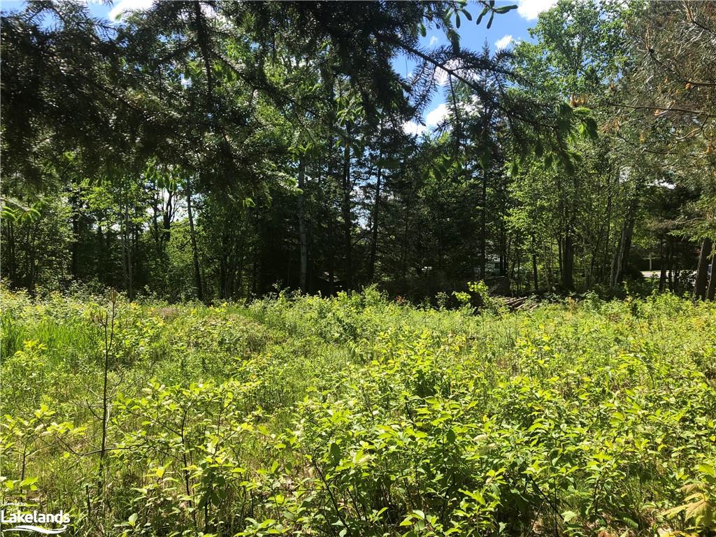 3 LANG Court, Sundridge, Ontario, Canada