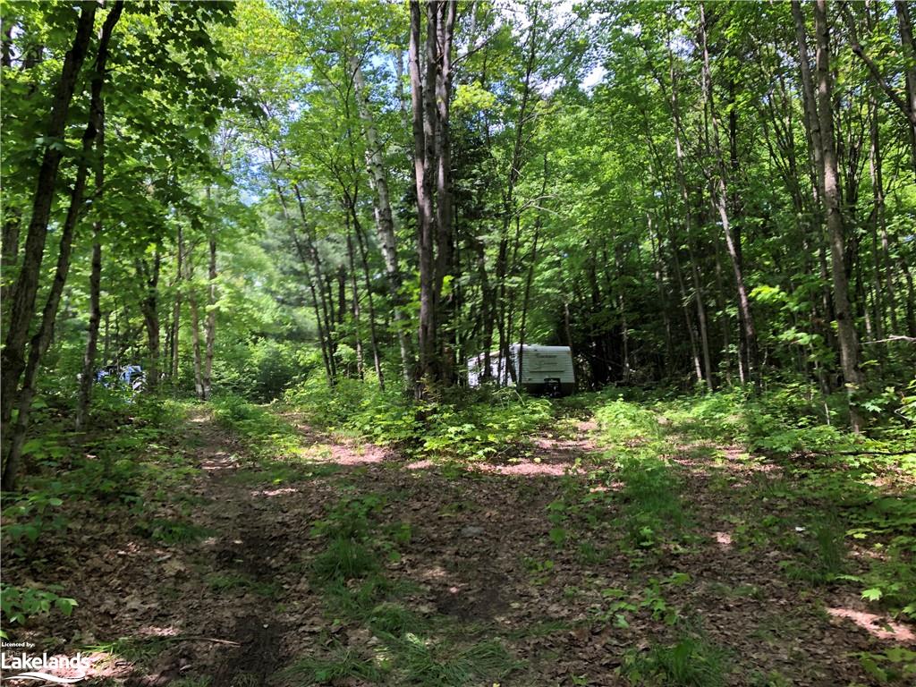 1186 PEVENSEY Road, Sundridge, Ontario, Canada