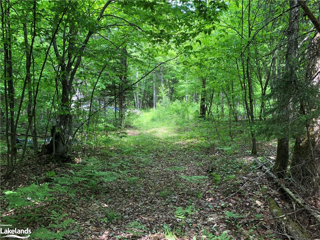 1186 PEVENSEY Road, Sundridge, Ontario, Canada