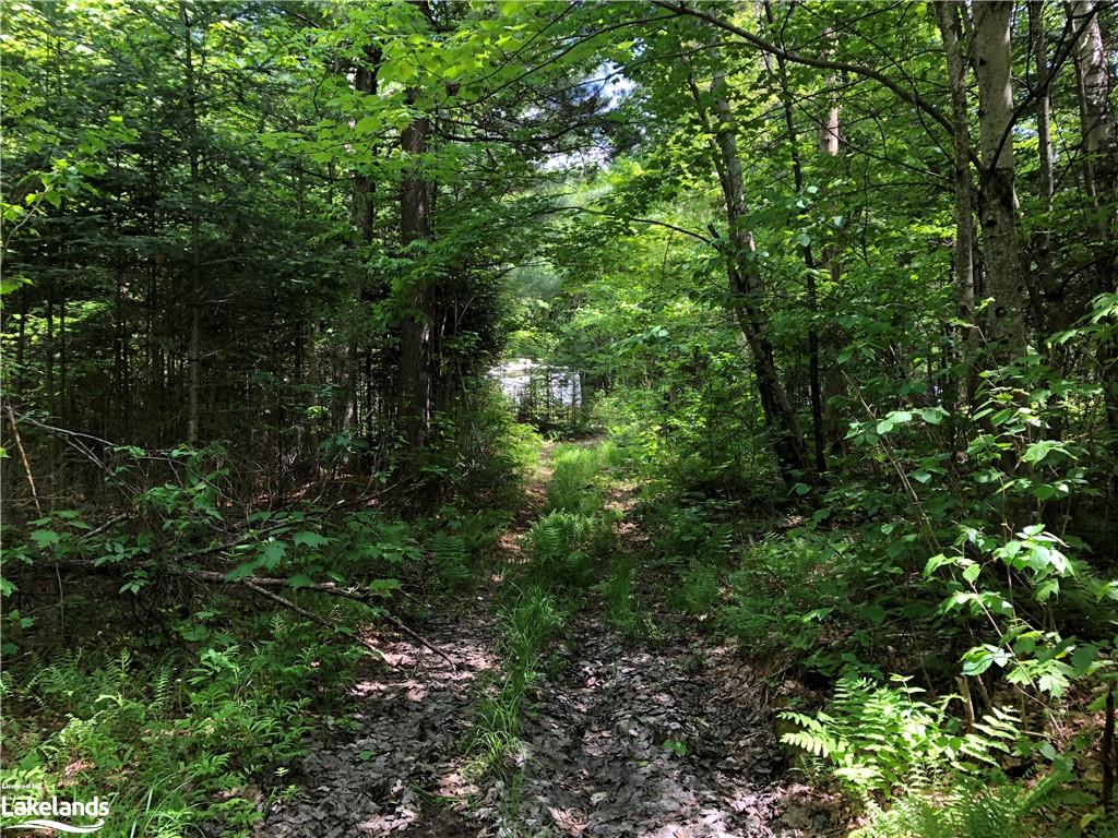 1186 PEVENSEY Road, Sundridge, Ontario, Canada