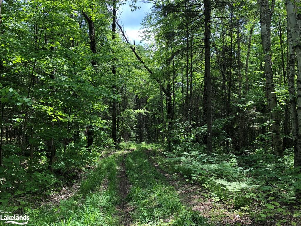 1186 PEVENSEY Road, Sundridge, Ontario, Canada