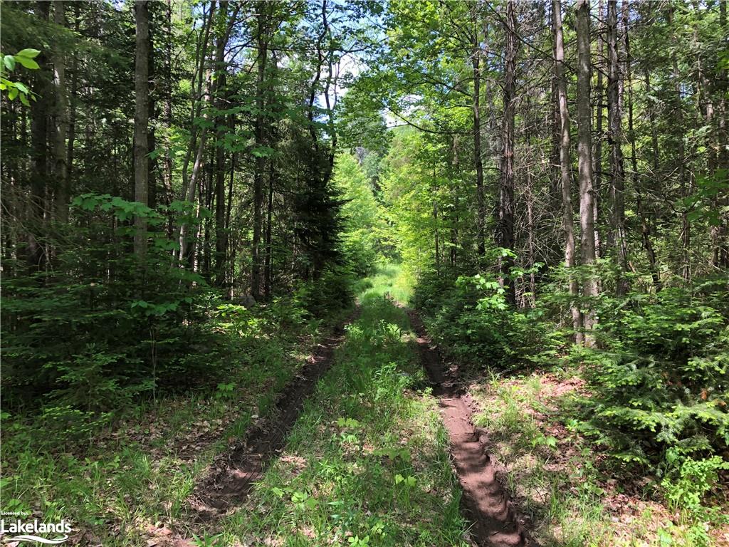 1186 PEVENSEY Road, Sundridge, Ontario, Canada