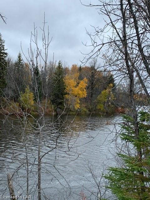 ISLAND ON STURGEON RIVER ISLAND