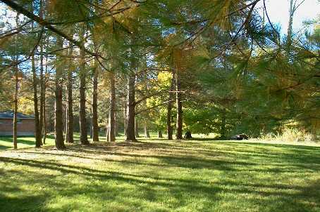 East Gwillimbury Ontario, Canada