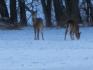 1885 13th Line, Bradford West Gwillimbury Ontario