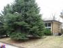 74 Millard Ave.,, Newmarket Ontario