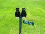 19336 Holland Landing Rd, East Gwillimbury Ontario