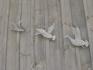 19336 Holland Landing Rd, East Gwillimbury Ontario