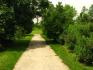 1942 Mill St, Alcona Ontario