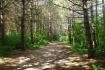 166 Rhodes Circle, Newmarket Ontario