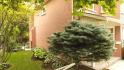 166 Rhodes Circle, Newmarket Ontario