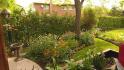 166 Rhodes Circle, Newmarket Ontario