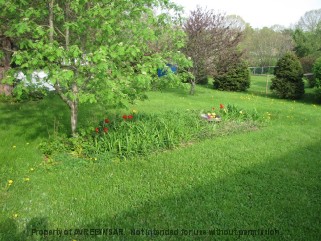 151 LAWRENCE AVE, Berwick, Nova Scotia, Canada