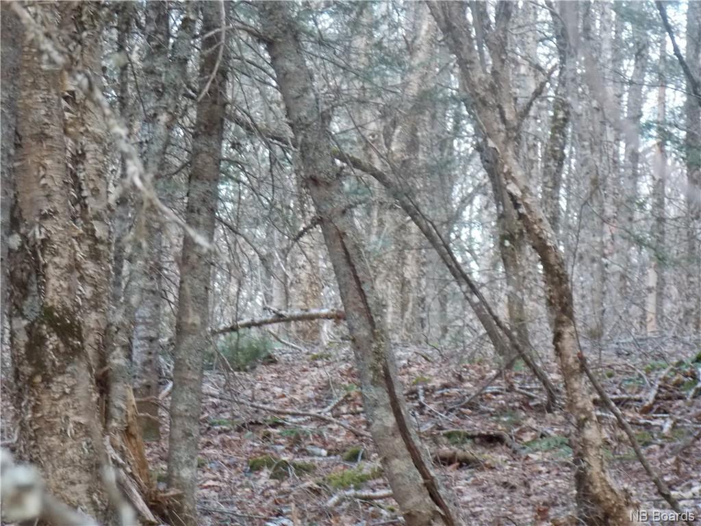00 McArthur Road, Sussex, New Brunswick, Canada