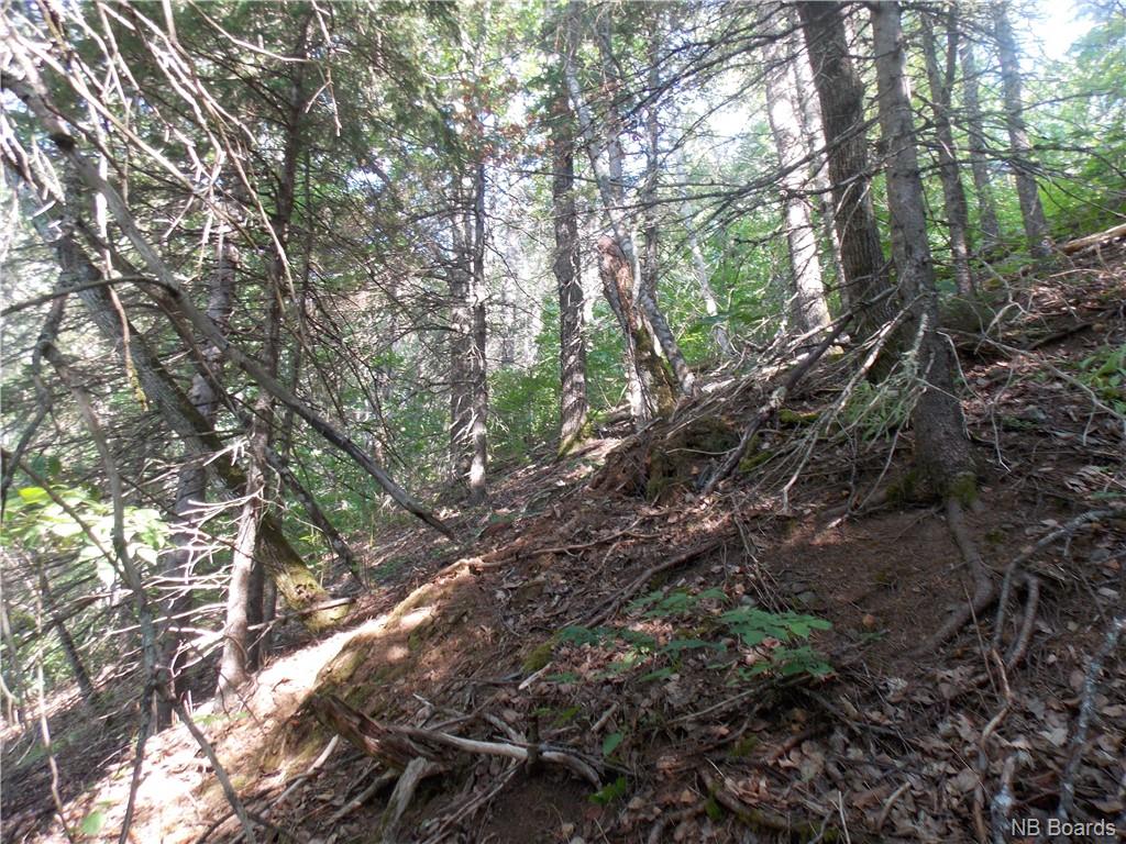 Cedar Camp Road, Waterford, New Brunswick, Canada