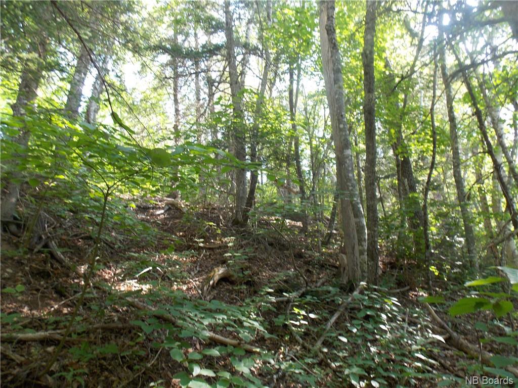 Cedar Camp Road, Waterford, New Brunswick, Canada