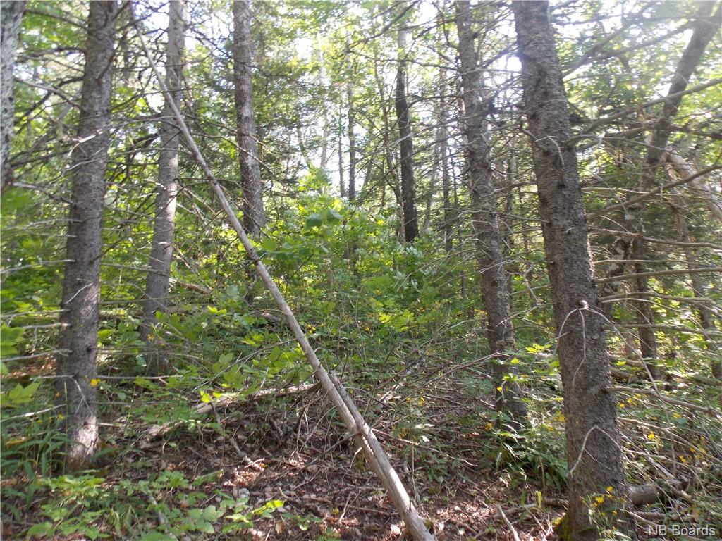 Cedar Camp Road, Waterford, New Brunswick, Canada