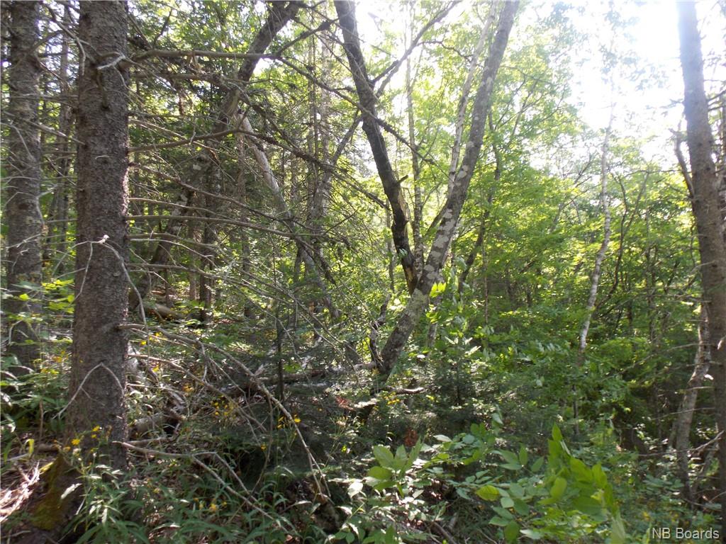 Cedar Camp Road, Waterford, New Brunswick, Canada