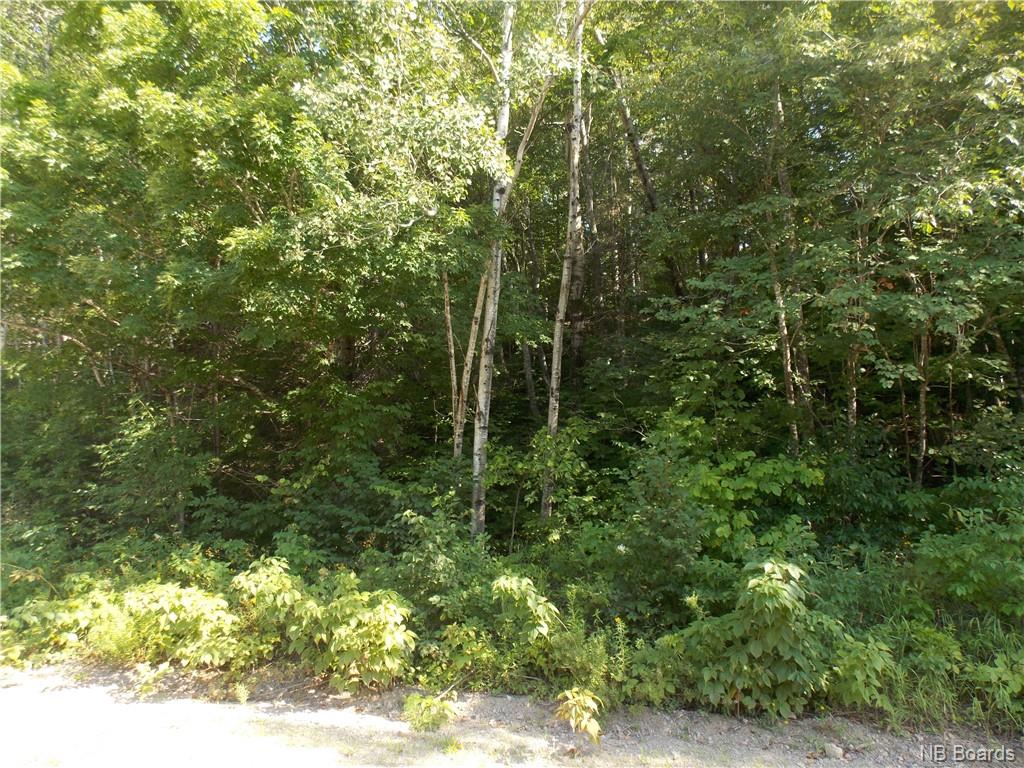 Cedar Camp Road, Waterford, New Brunswick, Canada