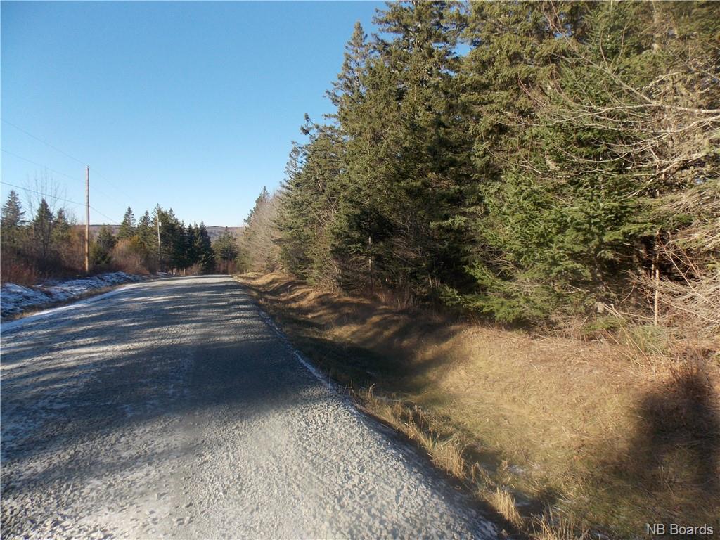 - Collier Mountain Road, Meadow, New Brunswick, Canada