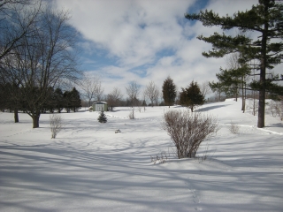 74 MAIN ST South, Lambton Shores, Ontario, Canada