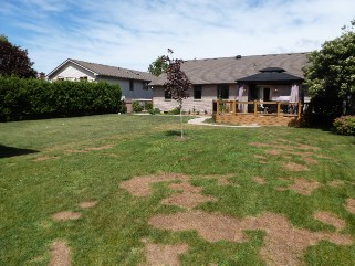 92 MAC DONALD, Lambton Shores, Ontario, Canada