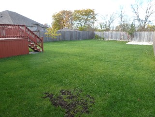 155 CONESTOGA DR, Sarnia, Ontario, Canada