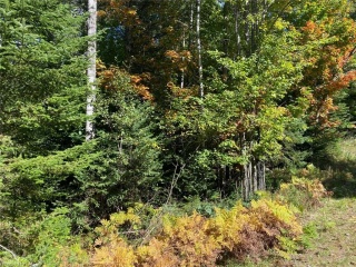 PINE Street, Haliburton Ontario, Canada
