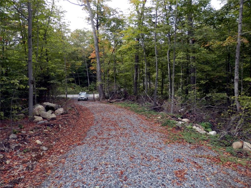62 WOODLAND Drive, Rosseau Ontario, Canada
