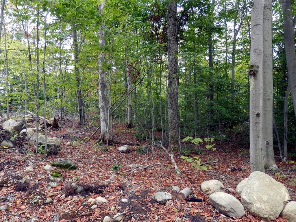 62 WOODLAND Drive, Rosseau Ontario, Canada