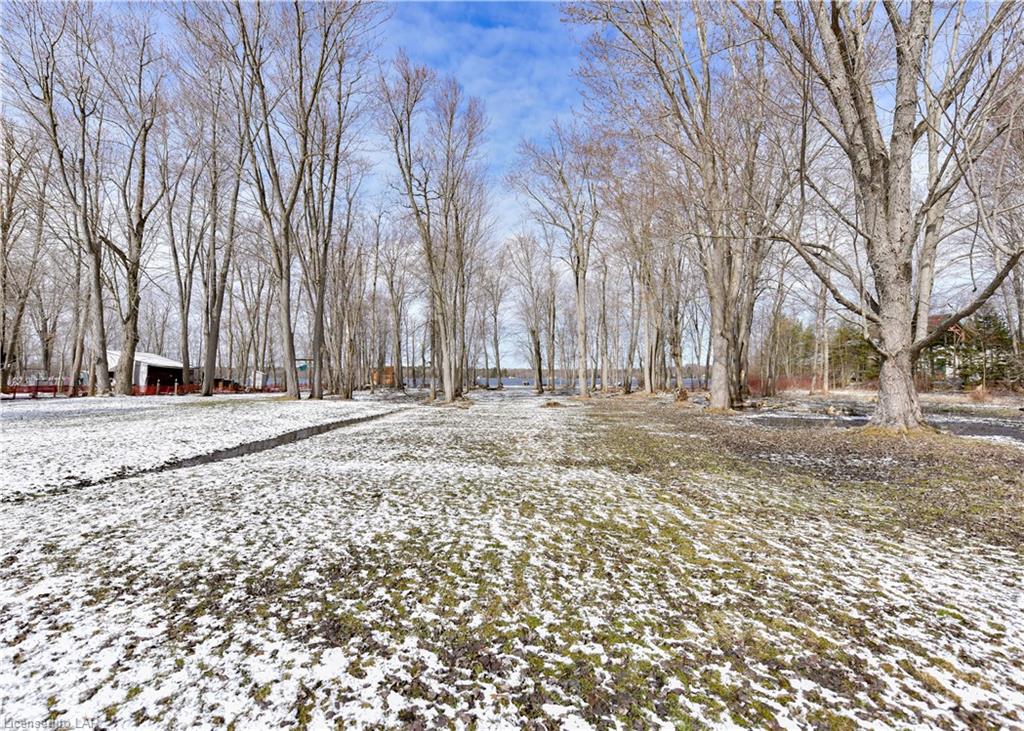 235 MONCK Road, Sebright, Ontario, Canada