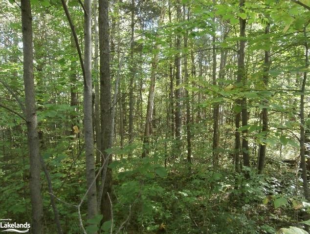 1094 LAIDLAW Avenue, Washago, Ontario, Canada