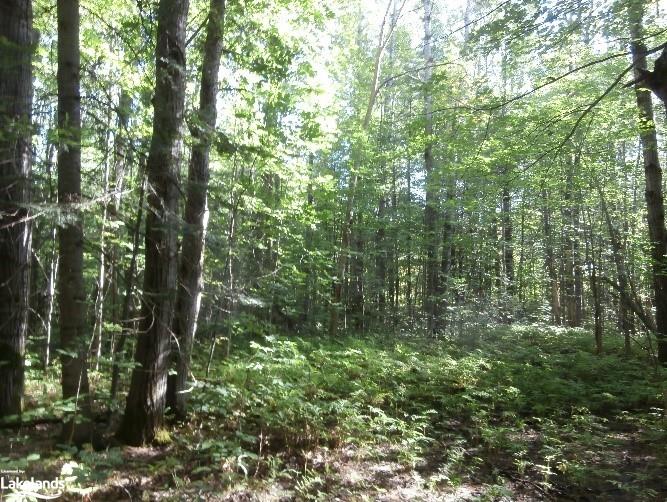 1094 LAIDLAW Avenue, Washago, Ontario, Canada