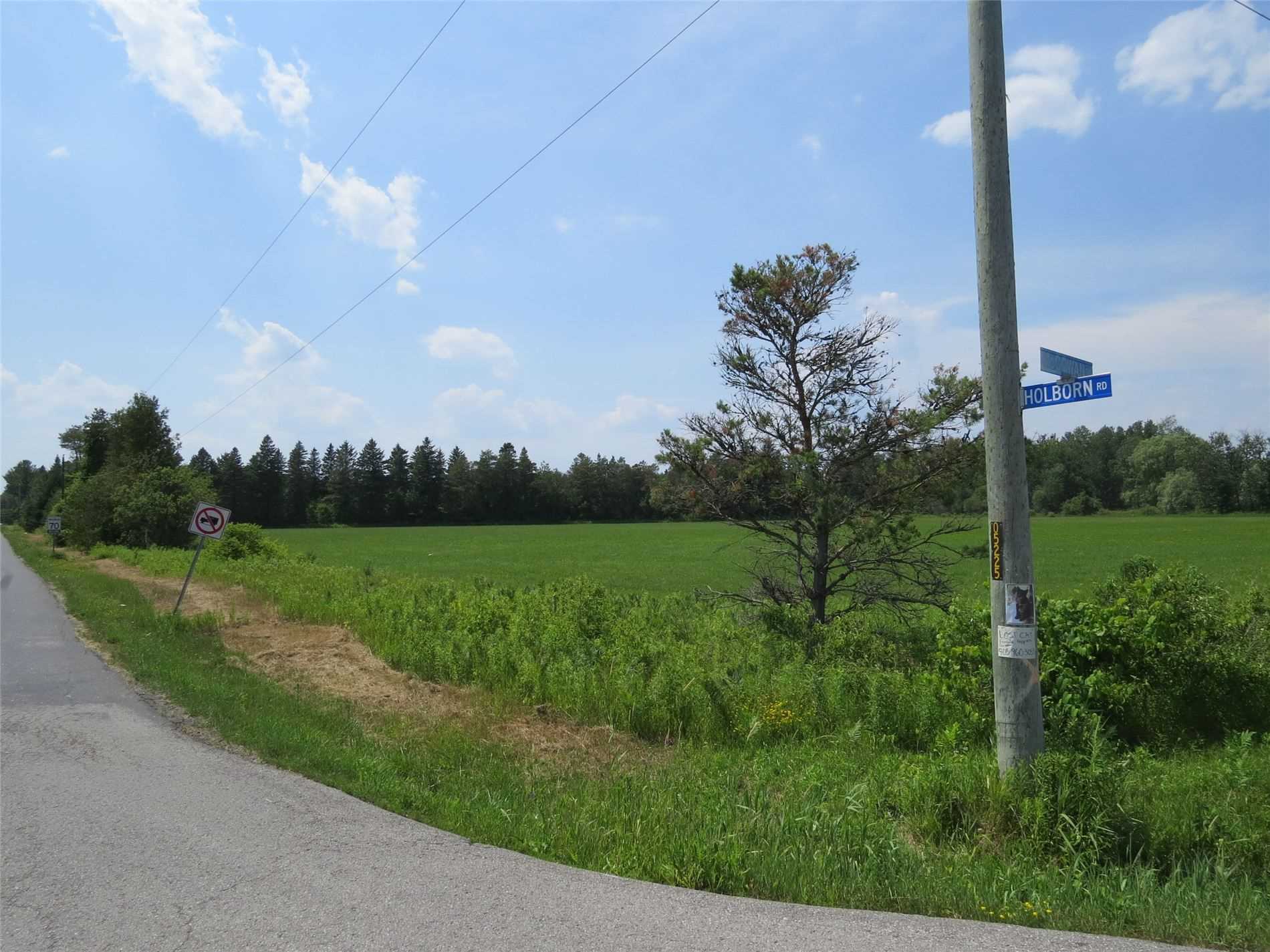 4428 Holborn Rd, East Gwillimbury Ontario, Canada