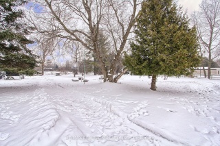 10 Crydermans Rd, Georgina Ontario