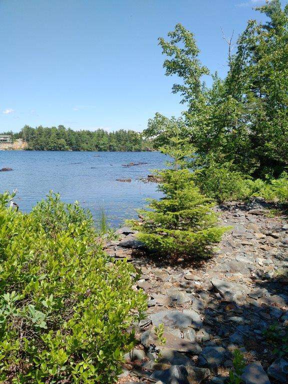 Lot 5-4 Natural Forest Lake Road, Upper Cornwall Nova Scotia, Canada