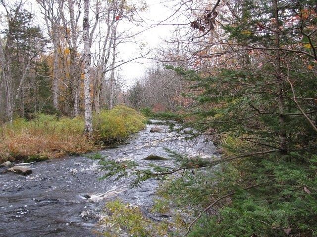 Lot Highway 12, New Ross Nova Scotia, Canada