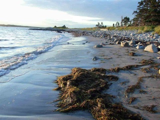 942 Rockland Road, Rockland Nova Scotia, Canada