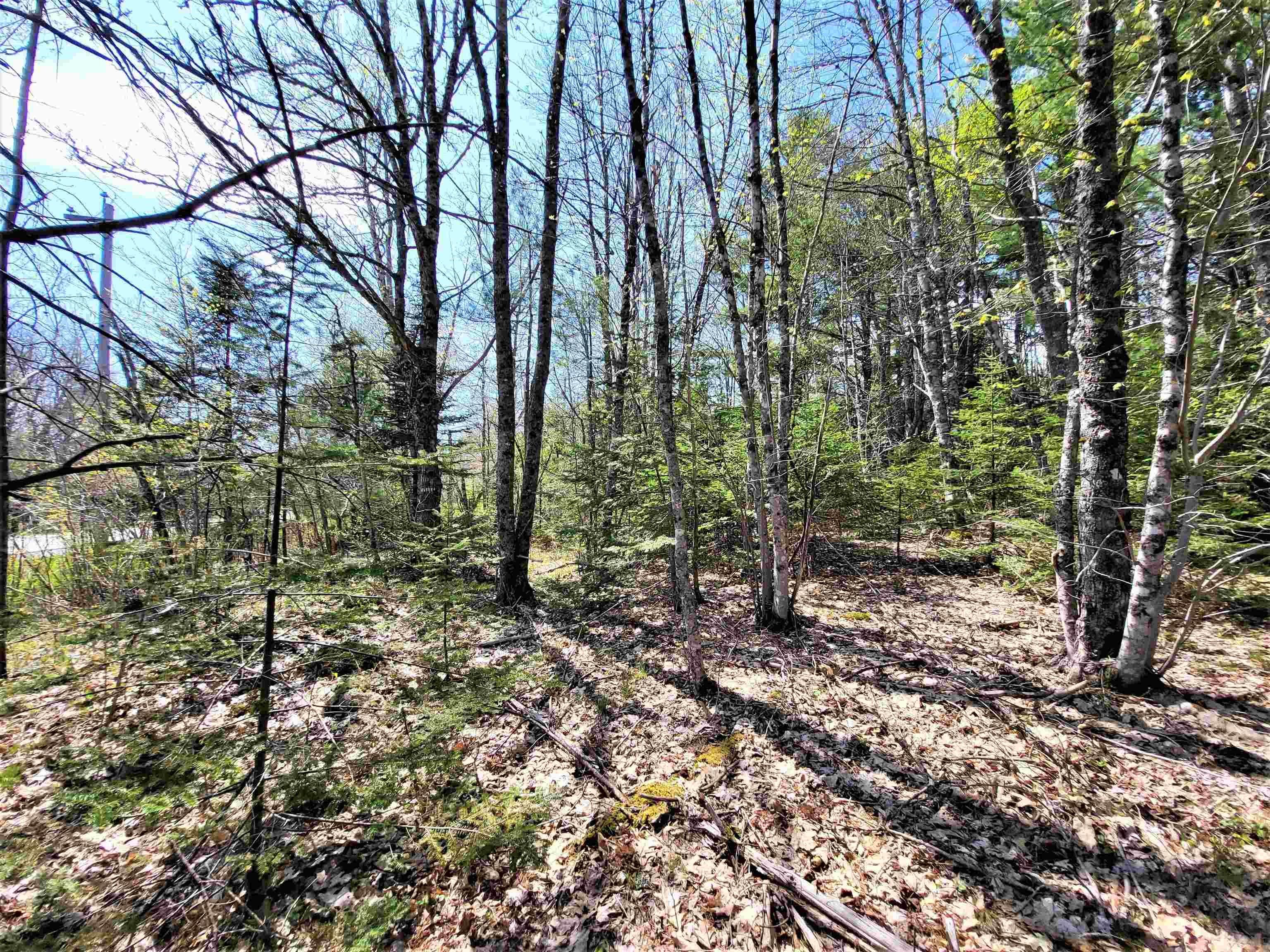 Lot Highway 208, Colpton Nova Scotia, Canada