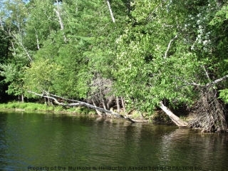 HERON LANDING RD, Carnarvon, Ontario, Canada
