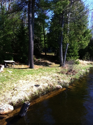 1056 RIDING TRAIL, Minden, Ontario, Canada
