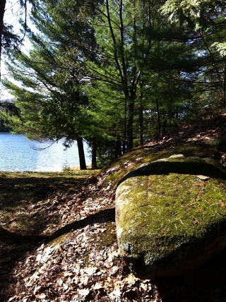 1056 RIDING TRAIL, Minden, Ontario, Canada