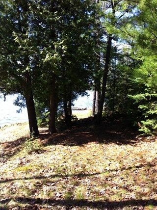 1056 RIDING TRAIL, Minden, Ontario, Canada