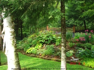 3398 KUSHOG LAKE RD, Algonquin Highlands, Ontario, Canada