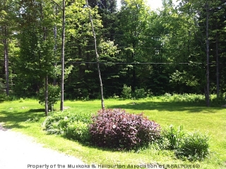 1149 GLAMOR LAKE RD, Gooderham, Ontario, Canada
