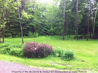 1149 GLAMOR LAKE RD, Gooderham, Ontario, Canada