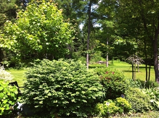 1149 GLAMOR LAKE RD, Gooderham, Ontario, Canada